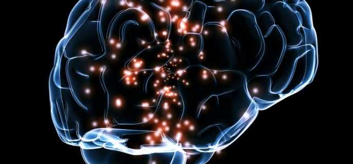 Причины и различия асиметрий головного мозга, их влияние на жизнь человека
