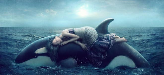 девушка спит на ките