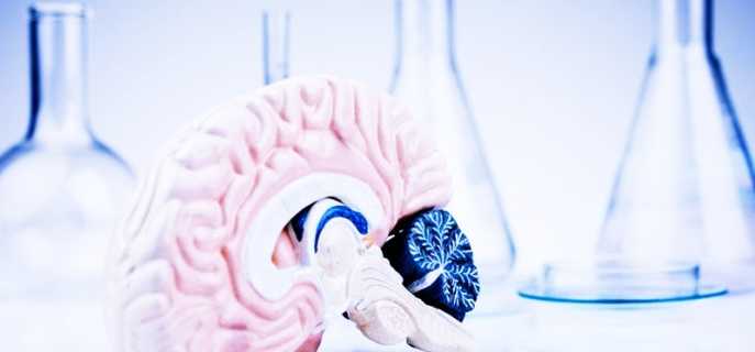 Особенности, диагностика и лечение гематом головного мозга