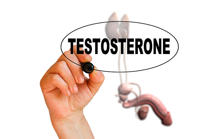 Что такое тестостерон у мужчин