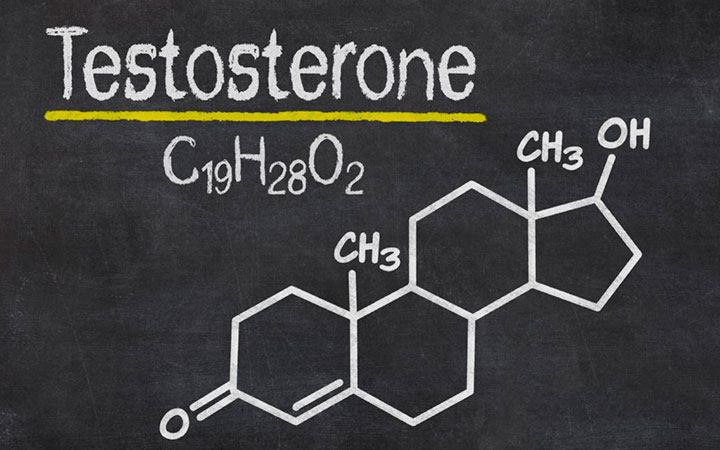 Мужской гормон - тестостерон