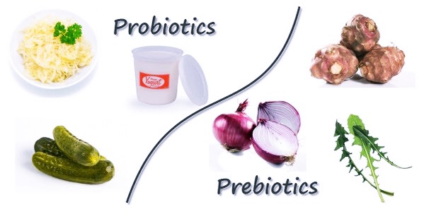 Пребиотики