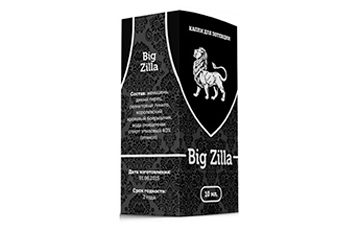 Big Zilla