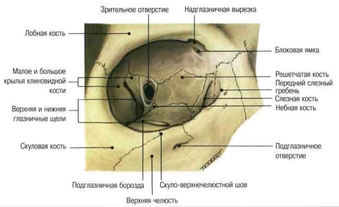 Перелом орбиты глаза
