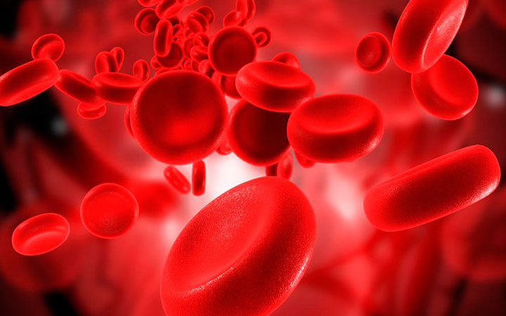 Лучшие продукты для повышения гемоглобина в крови