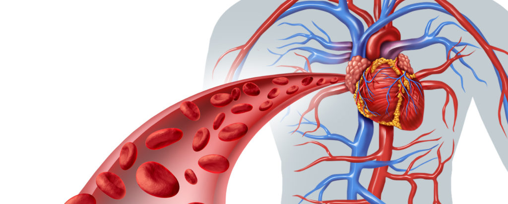 Расширение артерий снижается нагрузка на сердце