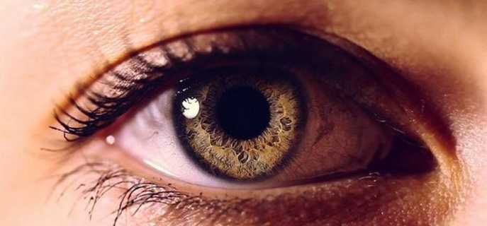 Причины появления мушек перед глазами и лечение патологии